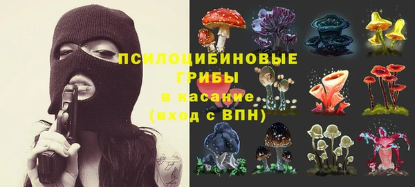 ПСИЛОЦИБИНОВЫЕ ГРИБЫ Гусев